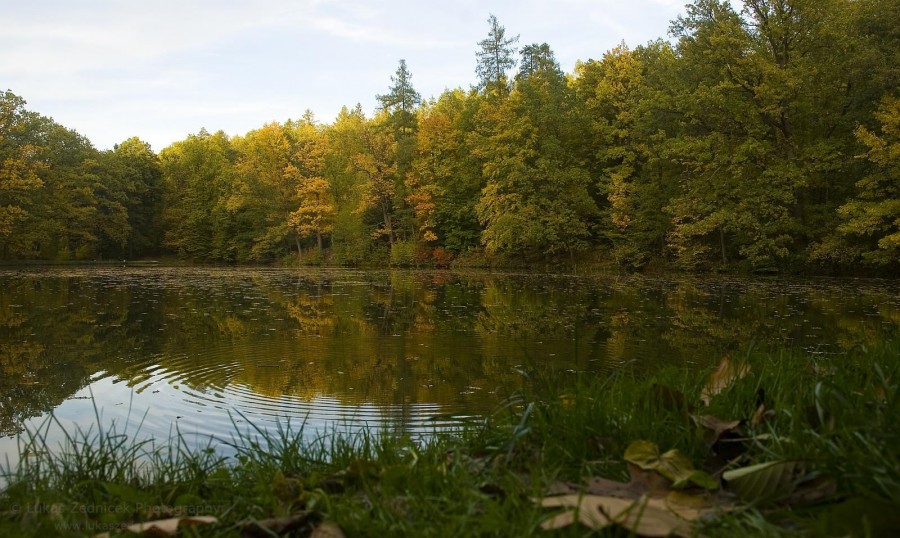 Klikněte pro zobrazení původního (velkého) obrázku