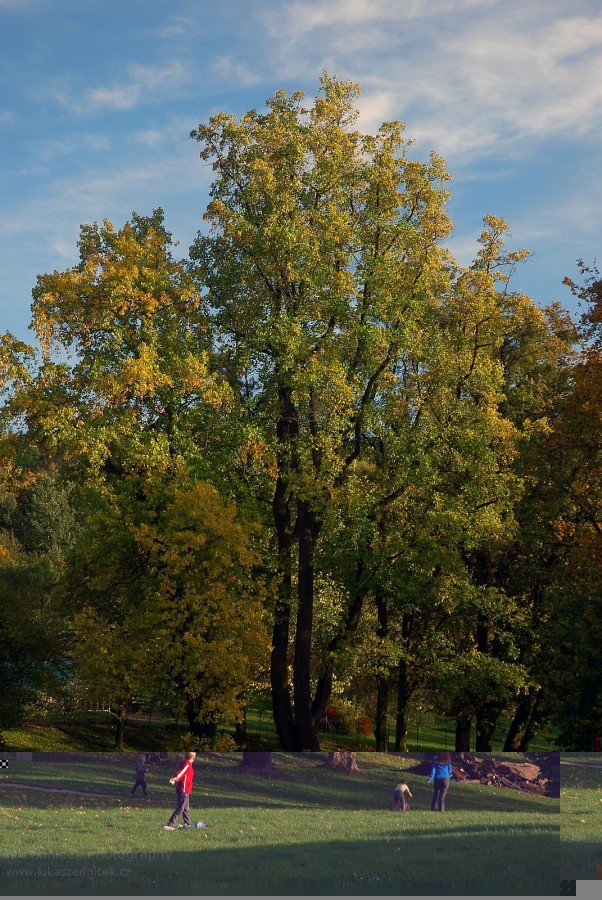 Klikněte pro zobrazení původního (velkého) obrázku