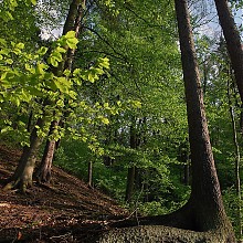 Karlova_vary_04_2009.jpg