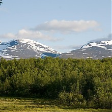 Abisko_NP_009_zm.jpg